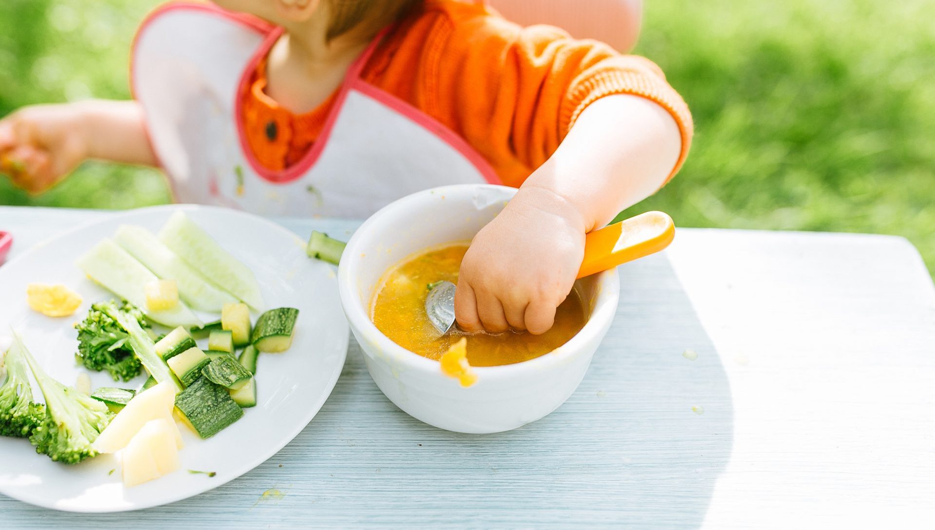 La Diversification Alimentaire Chez L Enfant