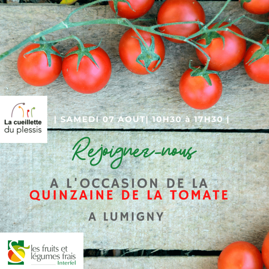 Quinzaine de la tomate