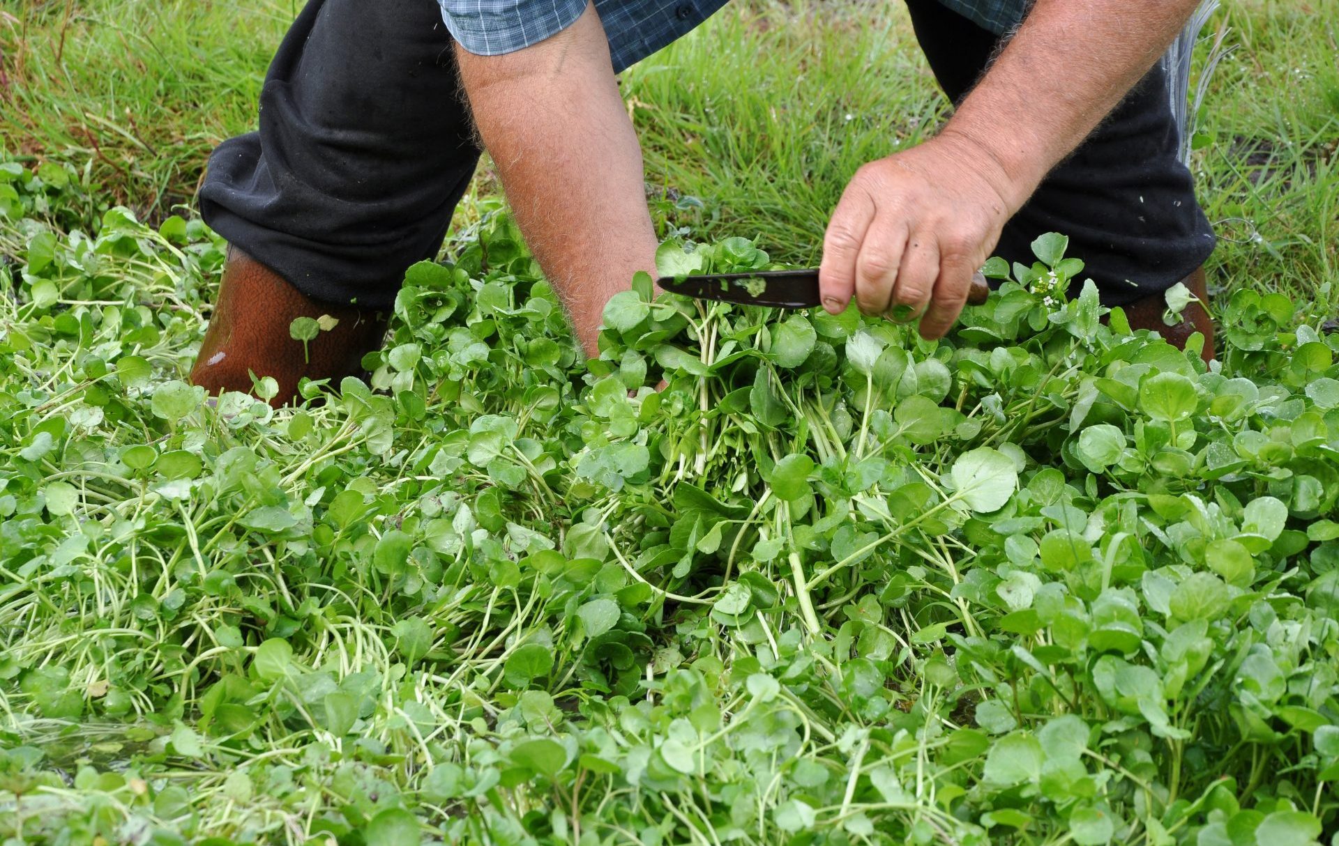 Métiers De la terre à l'assiette