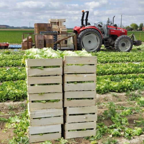 Les producteurs - métiers