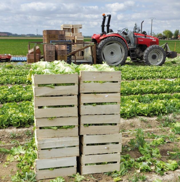 Les producteurs - métiers