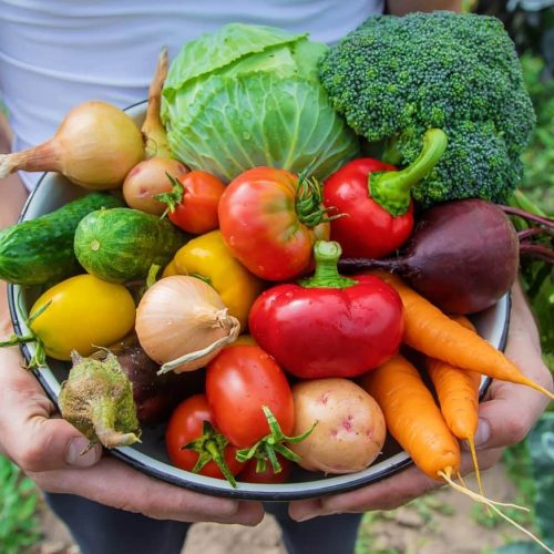 fruits legumes saison