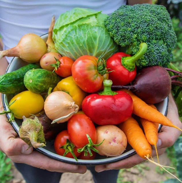 fruits legumes saison