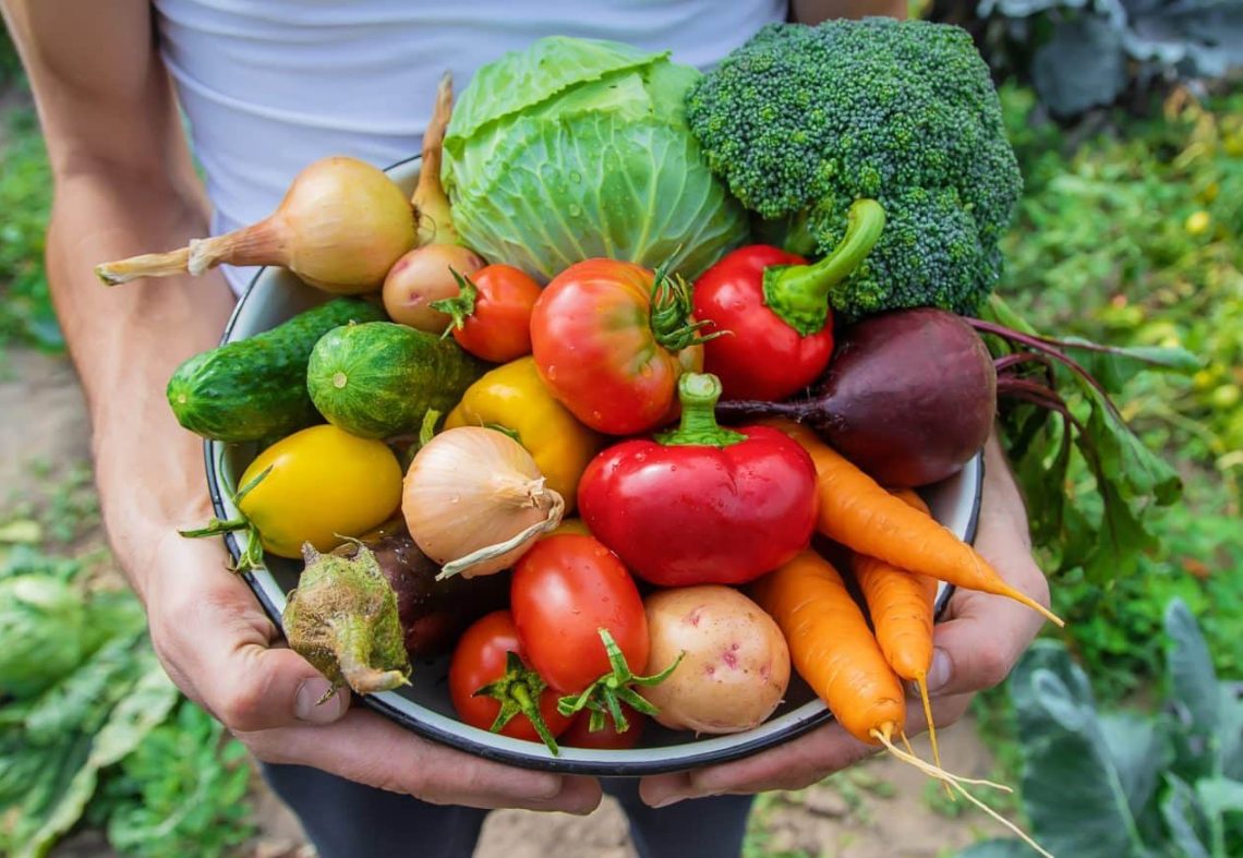 fruits legumes saison